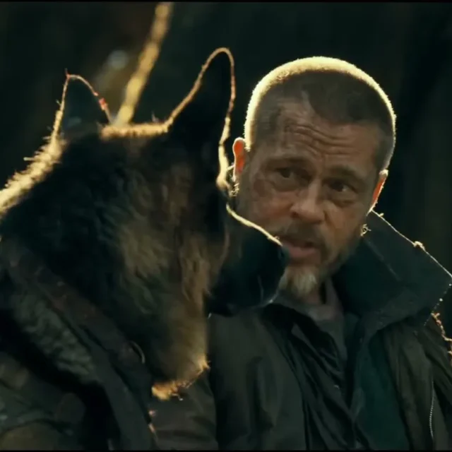 David Ayer