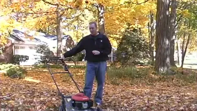 A man with a push mower on a lawn covered with fallen leaves