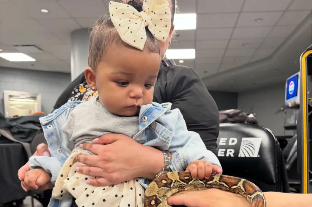 Rocki in a big polka-dot bow and denim jacket, held on an adult's lap as she touches a snake