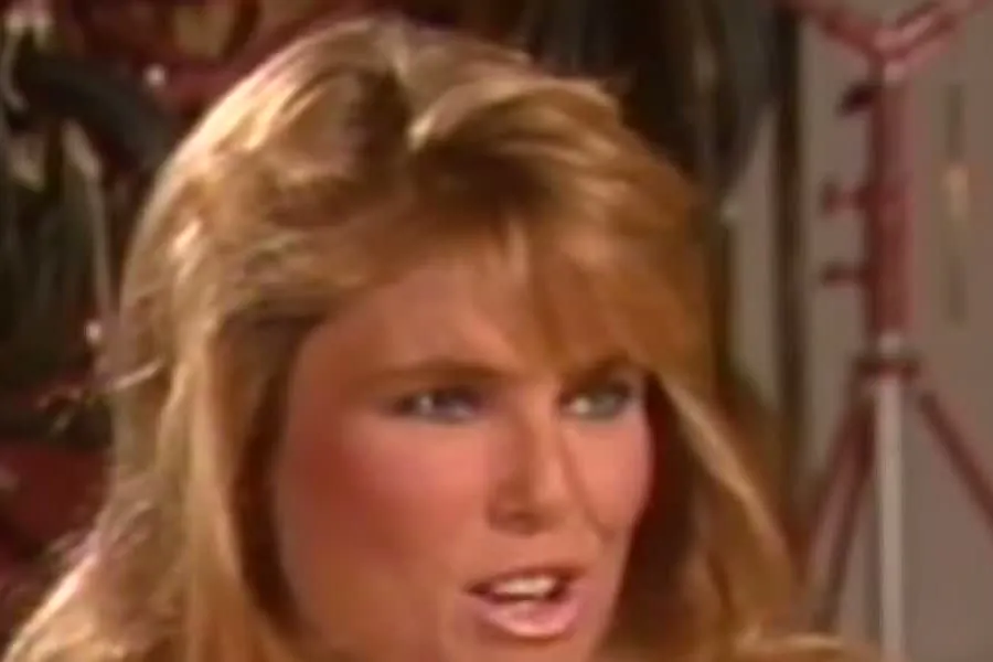 A young Christie Brinkley with a feathered golden-brown hairstyle talking in a 1983 TV interview